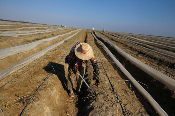 Export van asperges legt Peru droog