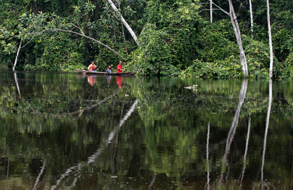 Bevolking neemt redding Amazonewoud zelf in handen