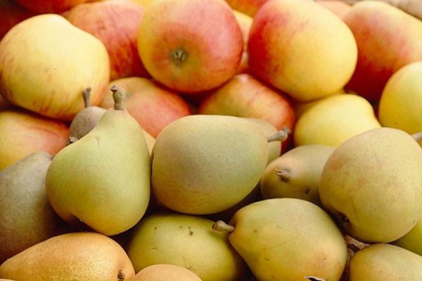 Hoe je biologische appels met lokale peren kunt vergelijken