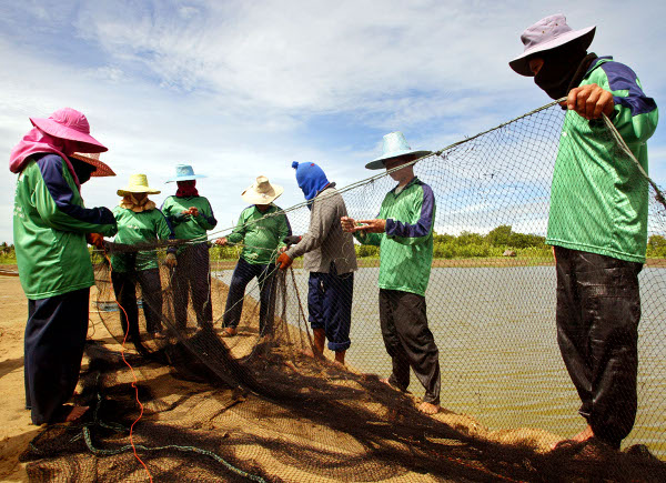 Thaise provincie gaat voor duurzame visserij