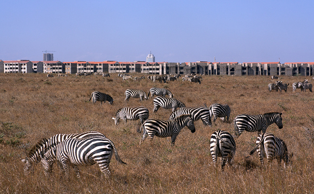 Afrika, investeerderswalhalla