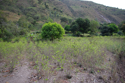 Peru worstelt met drugsverslaafden 