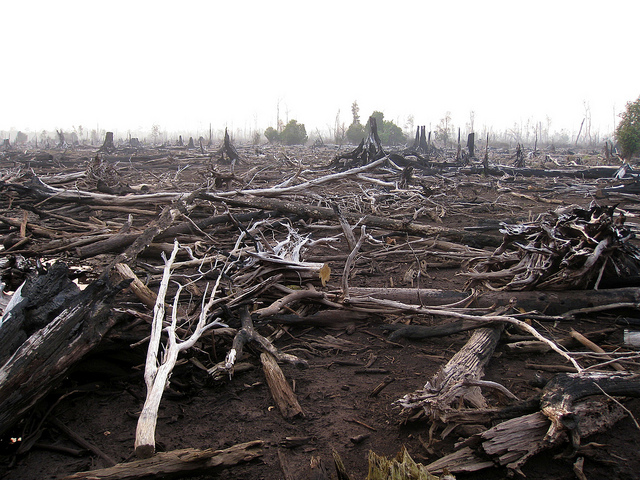 Indonesië brandt