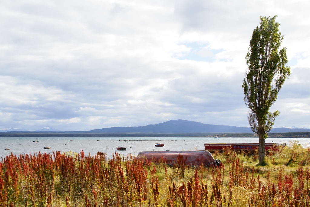 Het leven zoals het lijkt in Puerto Natales