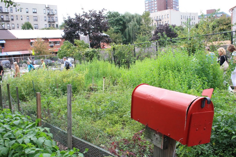 Mexicaanse groenten en ‘Building Integrated Agriculture’ in de Bronx