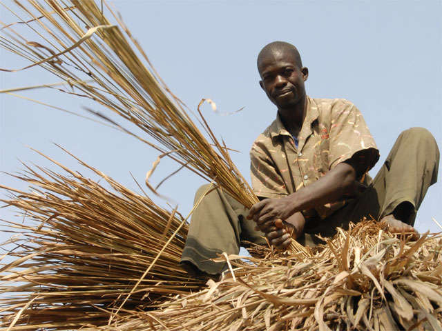 "Afrika moet investeren in landbouw"