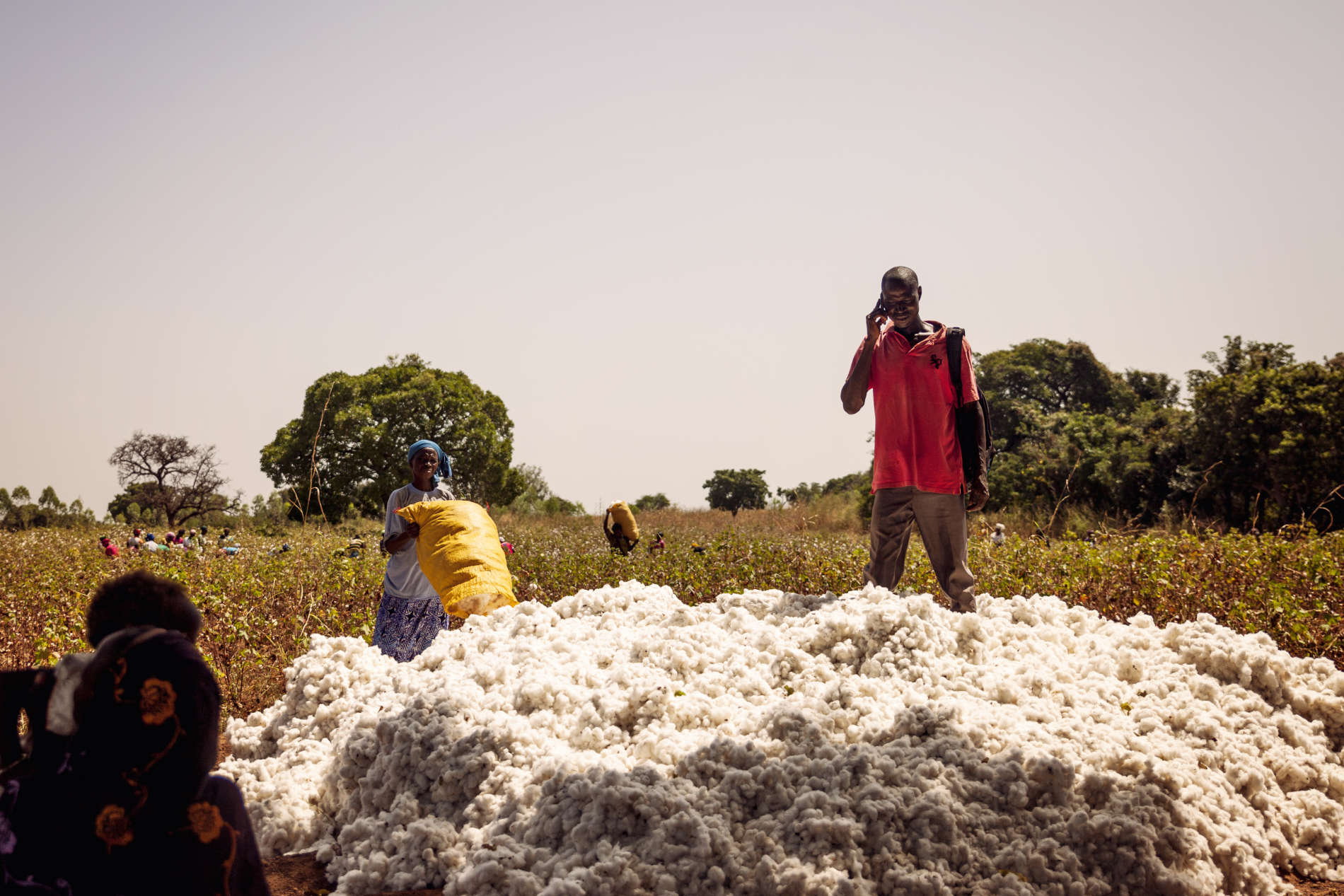 De katoenconnectie in Burkina Faso: ‘Monsanto is vertrokken, maar mijn problemen blijven’