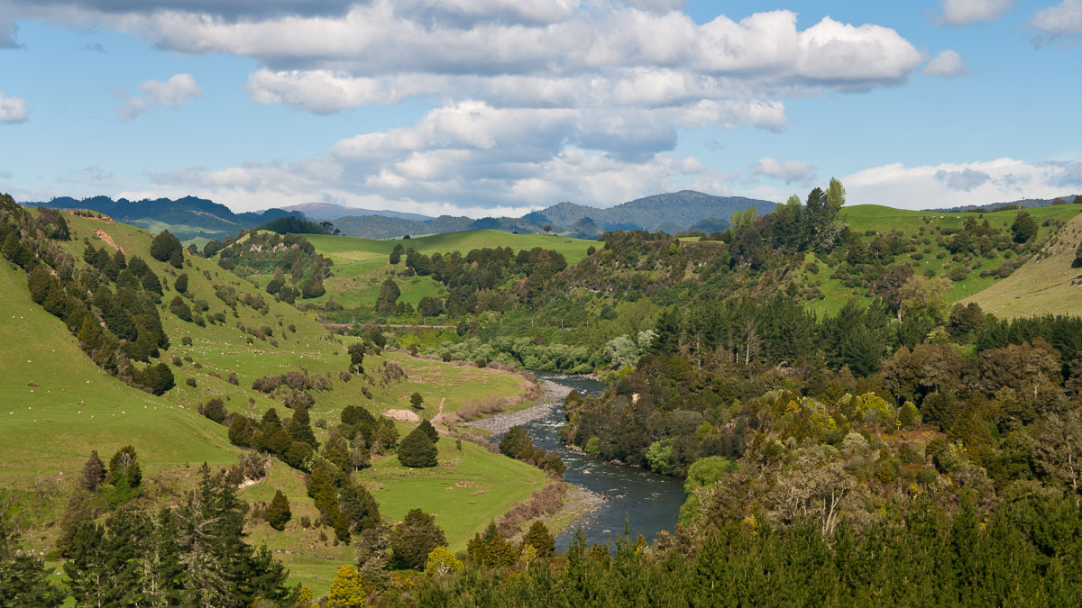 ‘Ondeelbaar en levend geheel’, Nieuw-Zeelandse Whanganui rivier wordt rechtspersoon