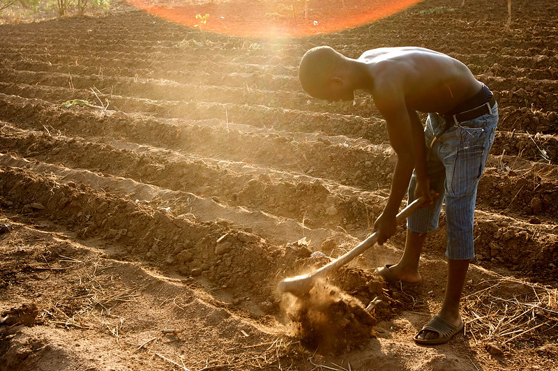 Meer technologie kan Afrikaanse jongeren tot de boerenstiel verleiden