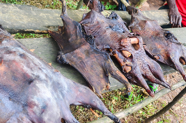 Bushmeat terug op het menu in Nigeria