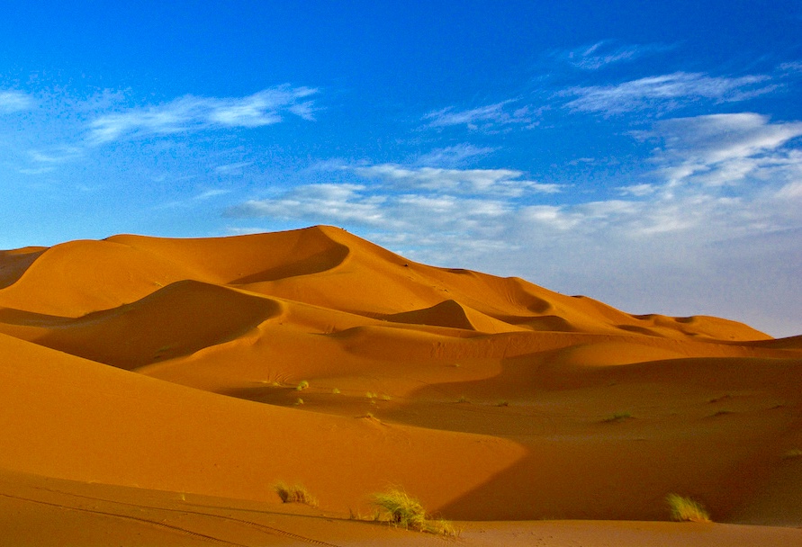 Sahara is voorbije eeuw met 10 procent gegroeid