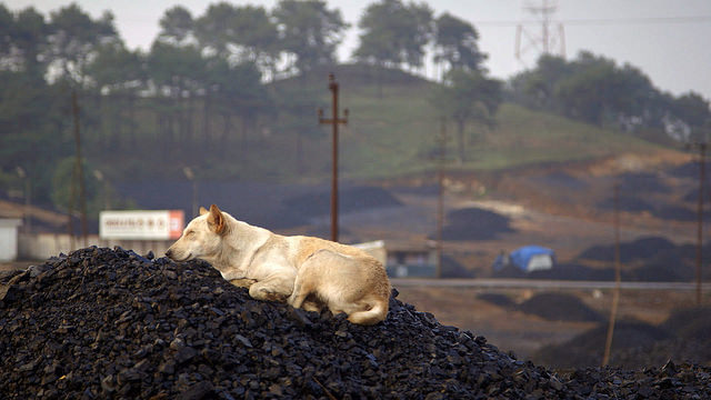 Grootste oliefonds ter wereld dumpt steenkool