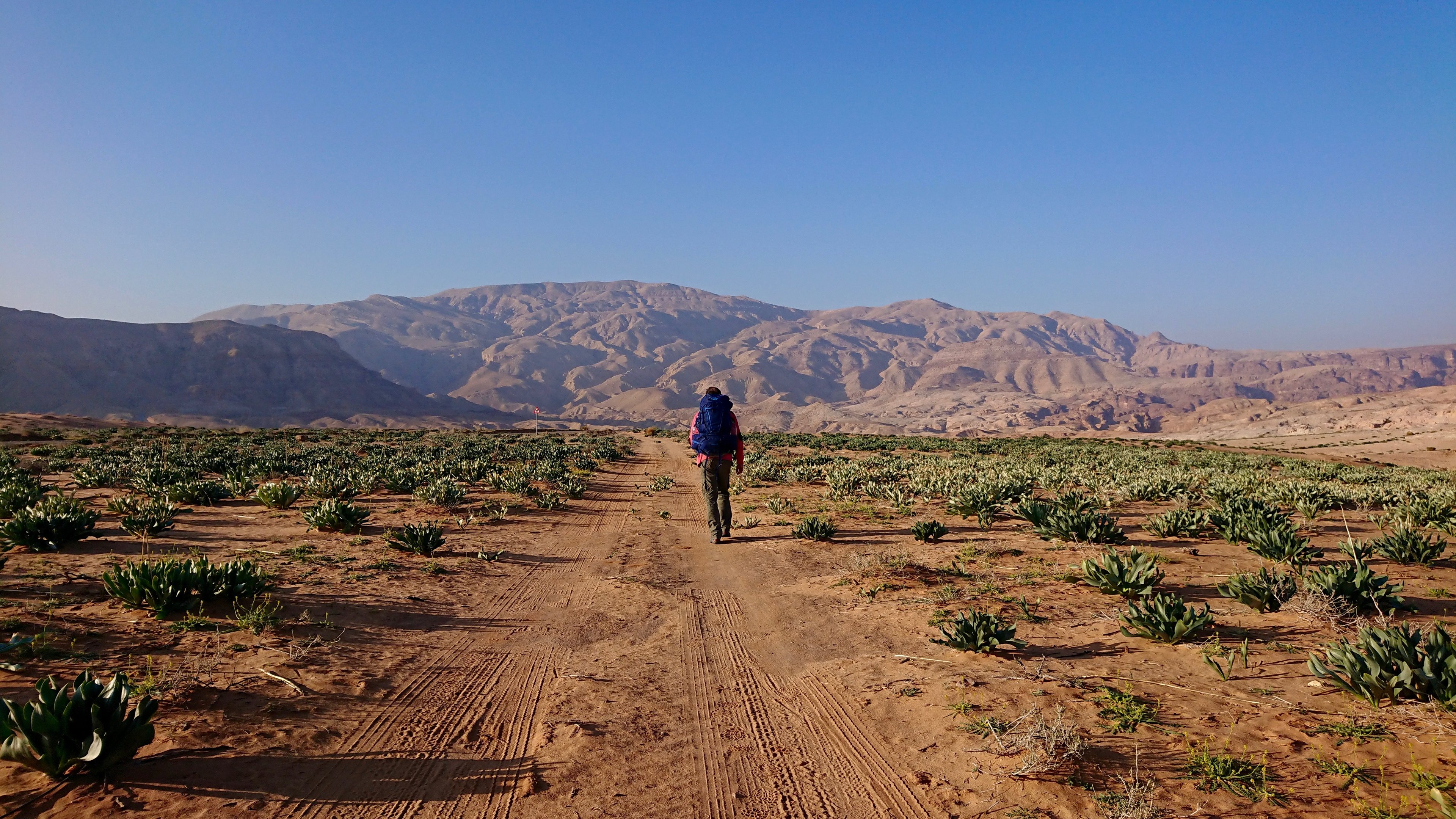 Bloemen, canyons en vulkaanstenen: te voet door de Jordaanse woestijn