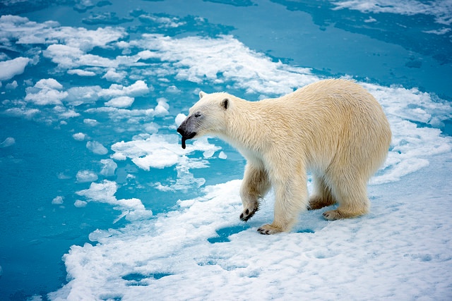 Klimaat duwt wereld in 'onbekend terrein'