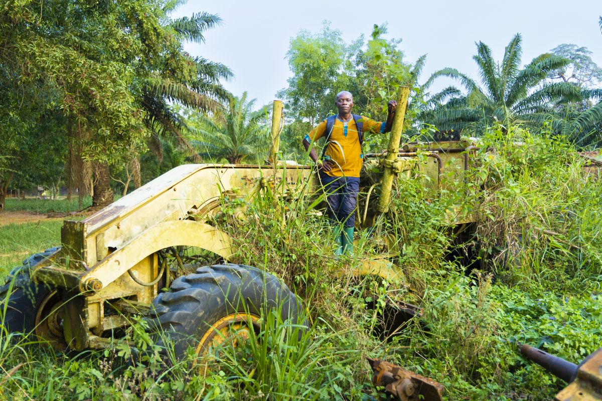 Koolstofkredieten in Congo: boerenbedrog of net een redding voor het Congolese woud?