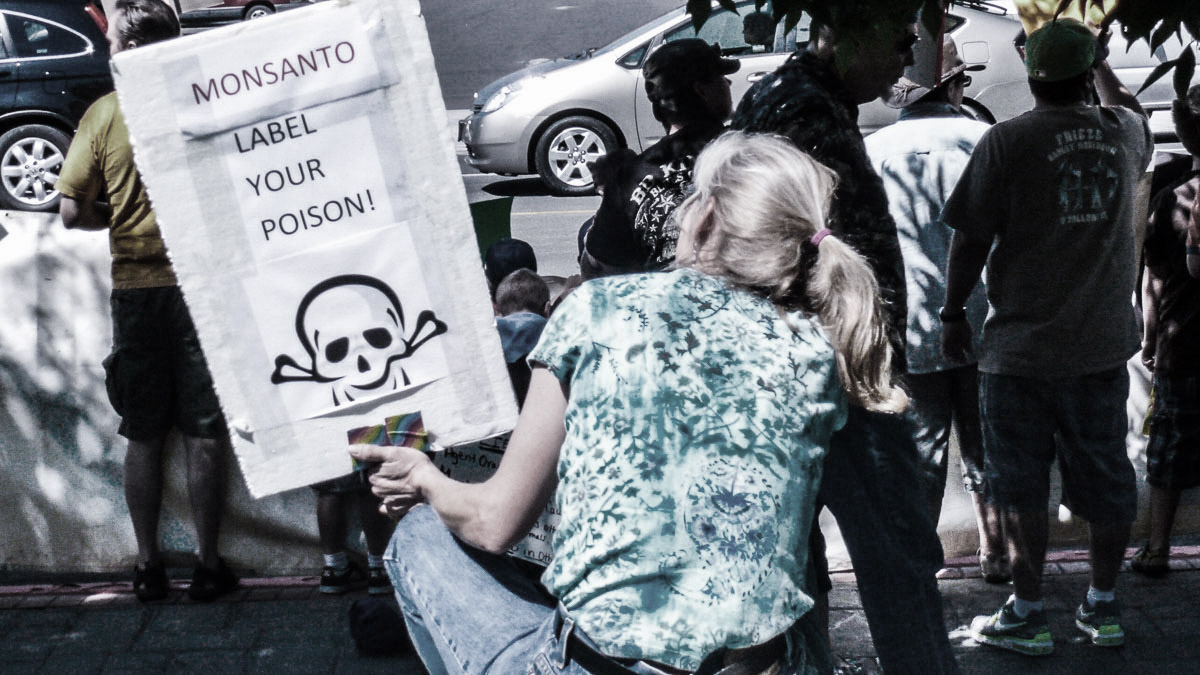 Hoe Monsanto een rol speelde bij intrekking geruchtmakende studie Roundup