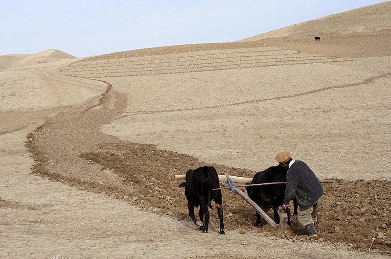 Droogte drijft Afghaanse boeren op de vlucht