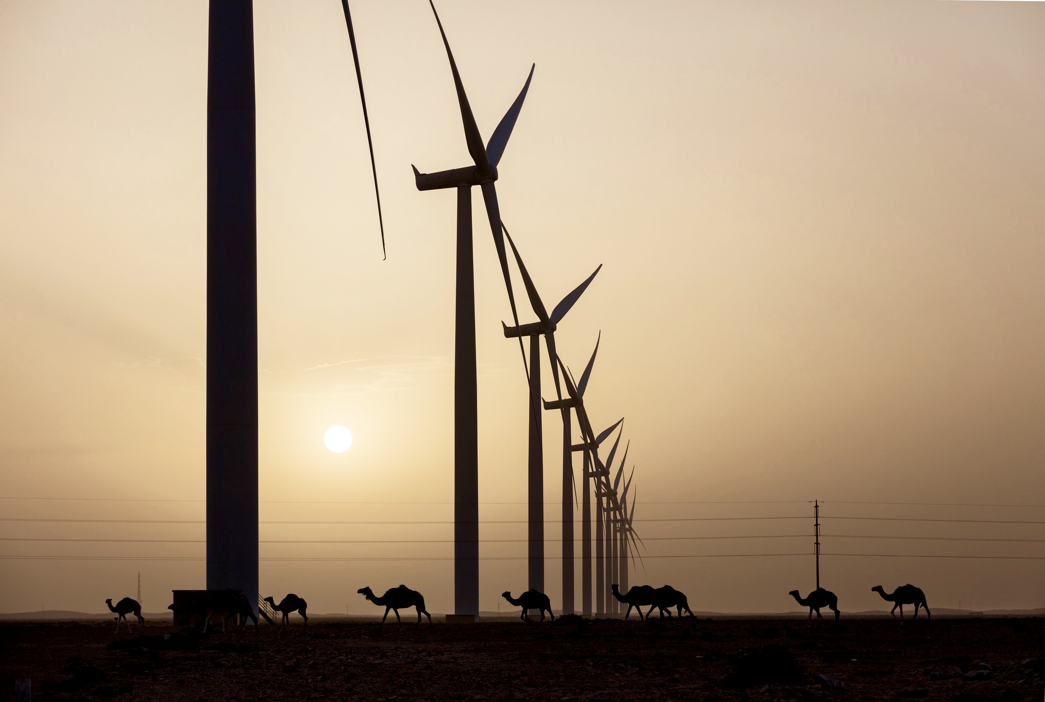 Windenergie groeit ook in Afrika en Midden-Oosten