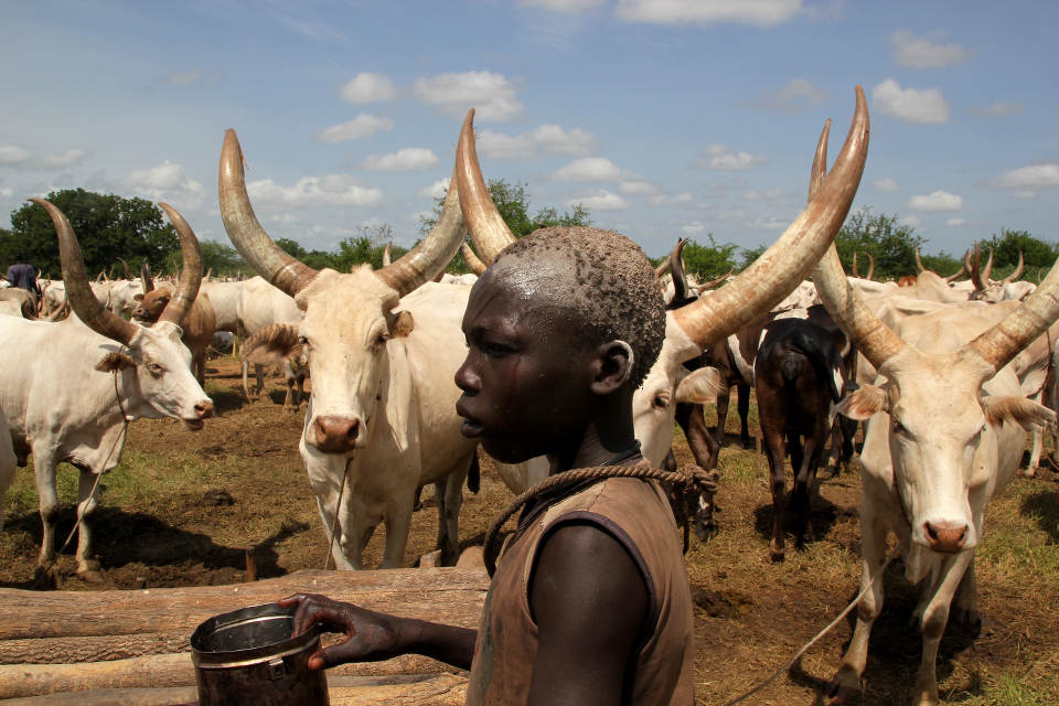 Zuid-Soedan heeft enorme maar 'waardeloze' veestapel