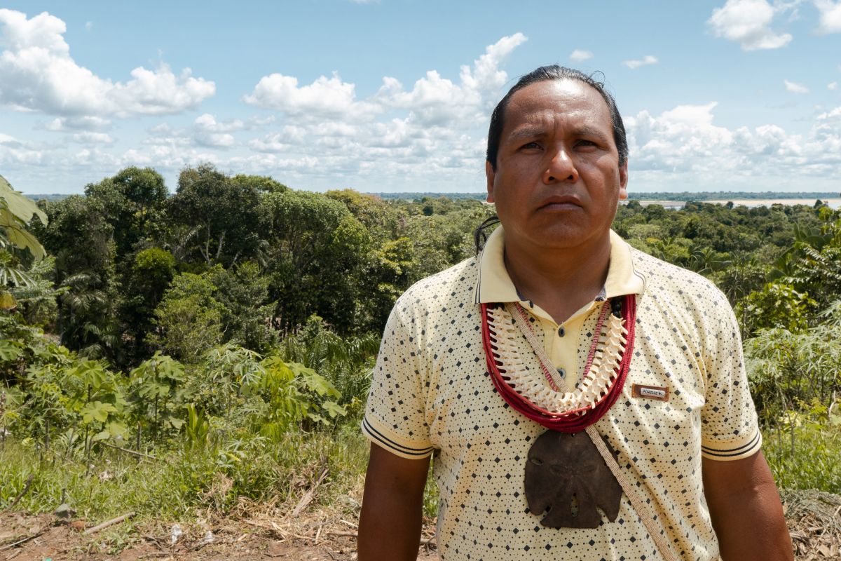 Natuurbescherming werkt: slechts 1,6% van alle ontbossing in Brazilië gebeurt in beschermd gebied