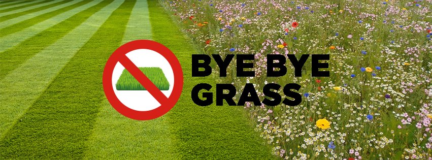 Welcome to the ByeByeGrass generation