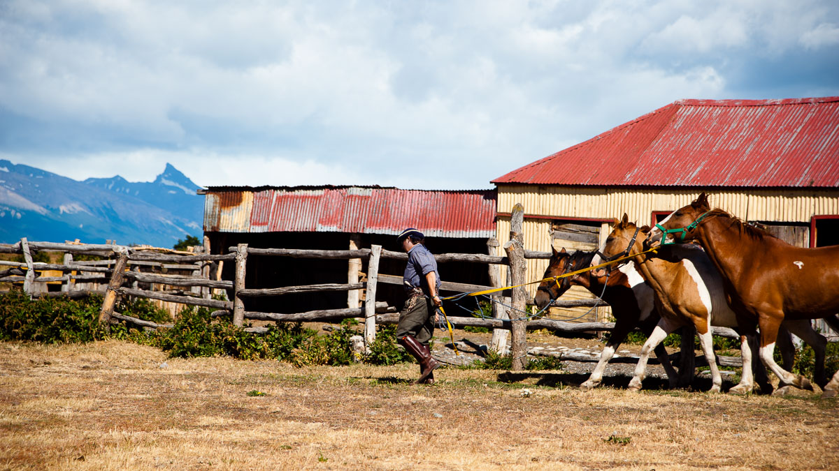 Argentijnse landbouwers stevenen af op recordoogst 