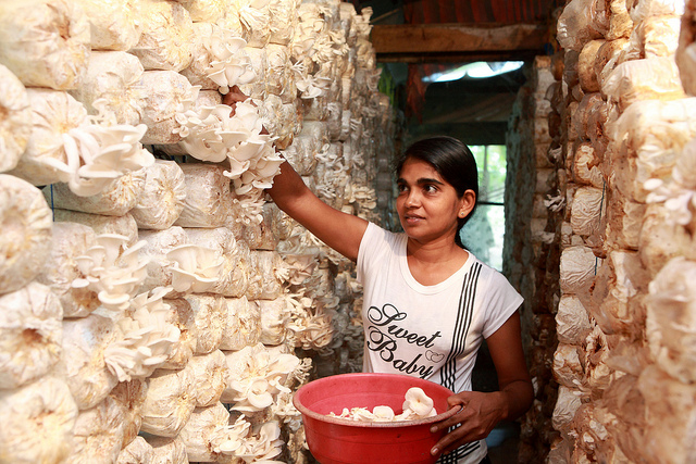 Goed opgeleide vrouwen vinden geen werk in Sri Lanka