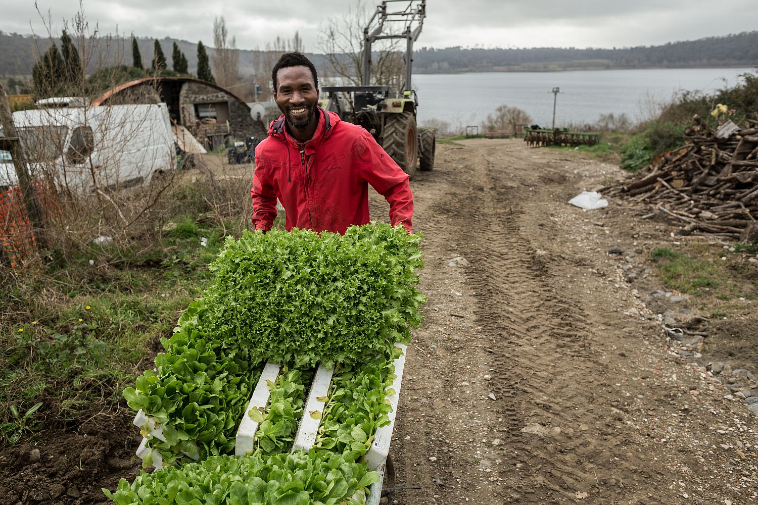 Afrikaanse migranten in Italië creëren eigen job in landbouwcoöperatie
