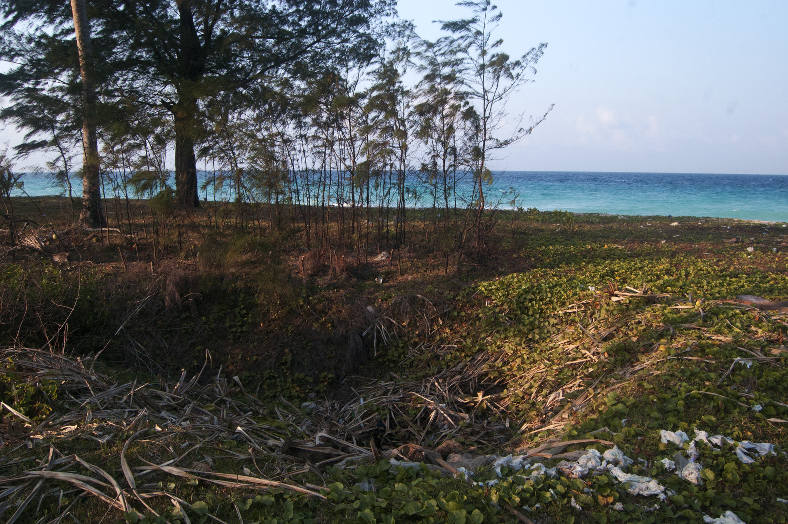 Steeds meer verdwijngaten op Indiase tsunami-eilanden