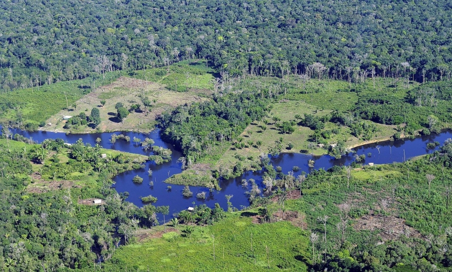 Sprankel hoop in Amazonewoud: ontbossing daalt voor vierde maand op rij