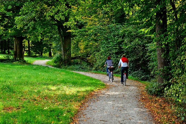 Vier keuzes bepalen het meest je klimaatafdruk 