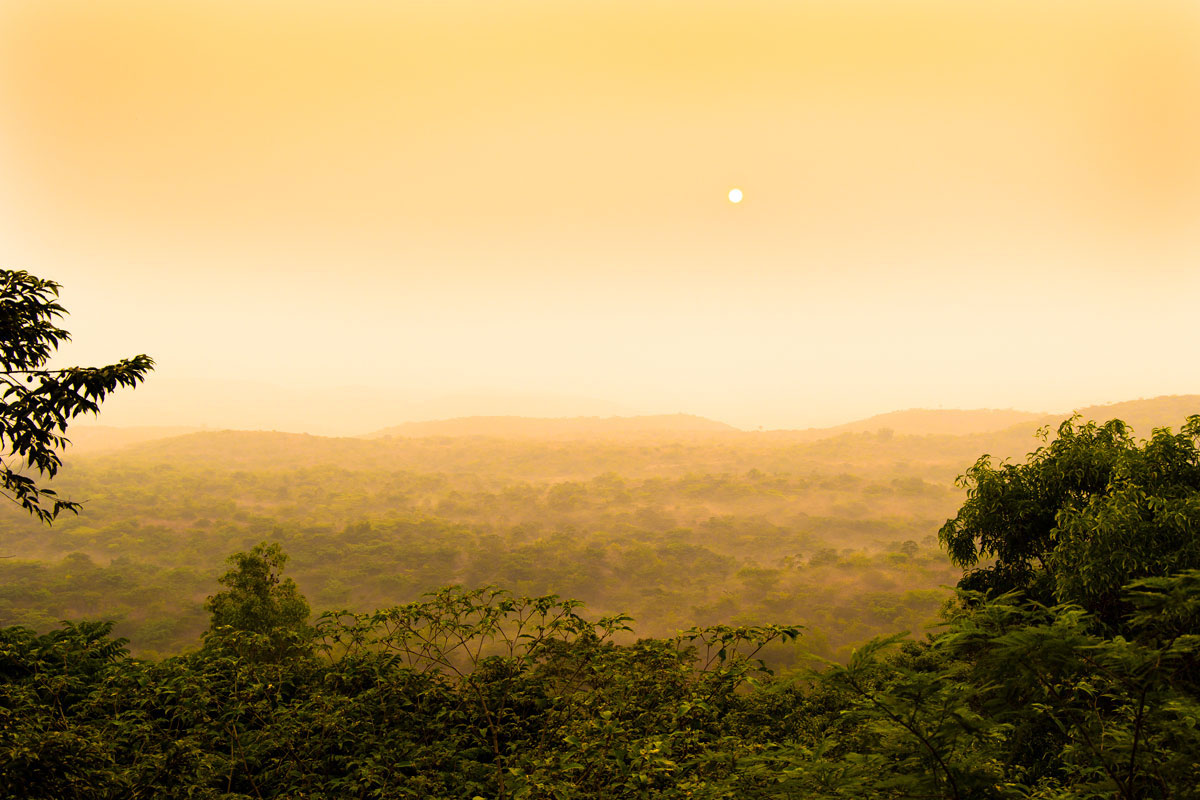  ‘Er is meer dan één dollar per Congolees nodig om het Centraal-Afrikaanse woud in stand te houden’