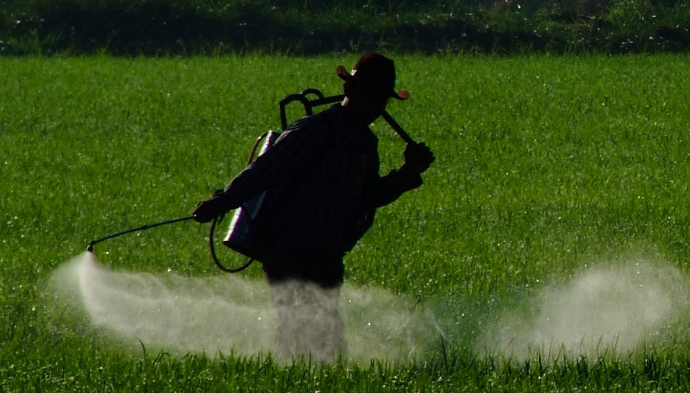 Roekeloos gebruik van pesticiden in Afrika vormt gevaar voor volksgezondheid