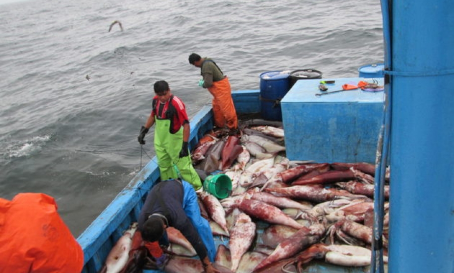 Ecuadoraanse vissers gaan strijd aan met Chinese vissersvloot