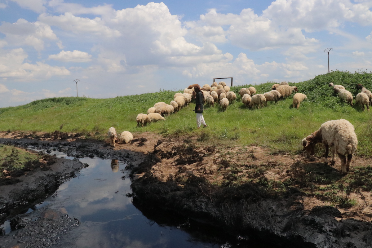 Olievervuiling via “Rivier des Doods” maakt leven in Noordoost-Syrië verder onmogelijk: ‘De olie maakt ons ziek’