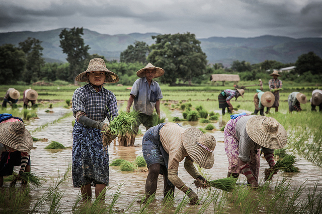 Boeren in Myanmar doelwit van landroof