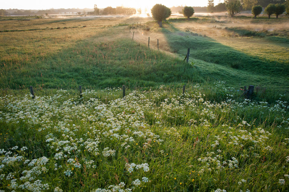 Nieuwe regels natuurbehoud bedreigen Vlaamse natuur
