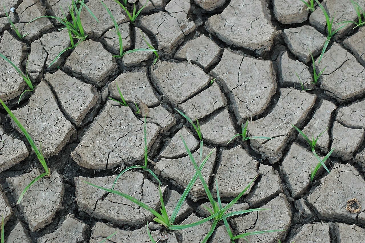 Extreme droogte in Zambia: 6 miljoen mensen riskeren watertekort en honger