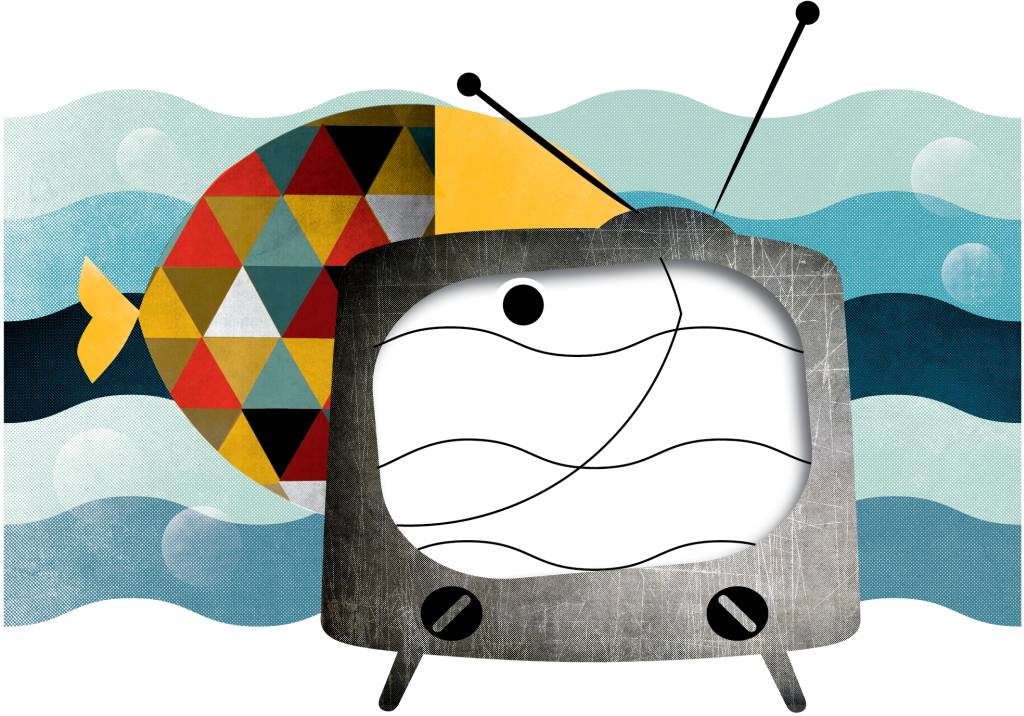 Superdiverse televisie zal je zelf moeten maken