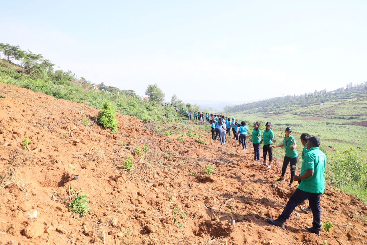 Gemeenschapsdienst in Rwanda: ‘Umuganda is meer dan gezamenlijk infrastructuurwerken uitvoeren’