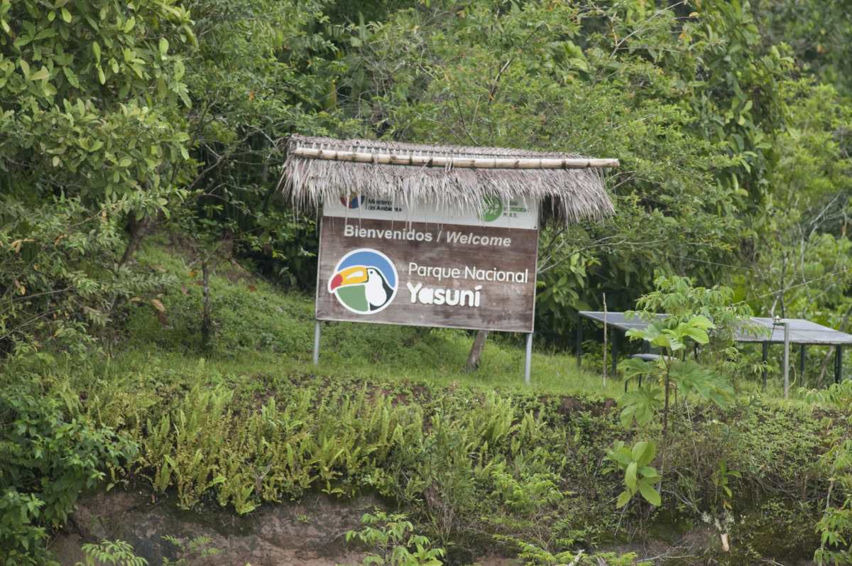 Ecuadoraanse kiezers stemmen olie-industrie weg uit Amazonewoud