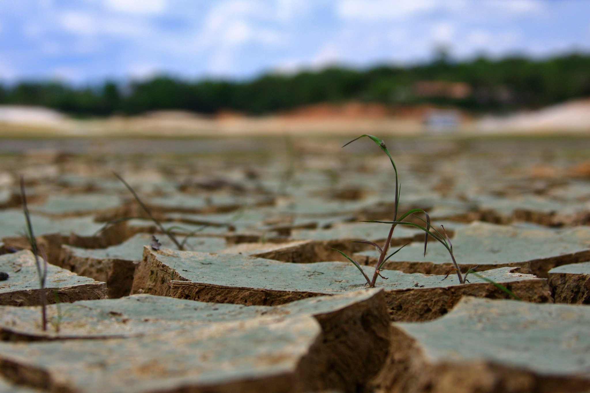 Extreme droogte brengt kantelpunt voor Amazonewoud gevaarlijk dichtbij
