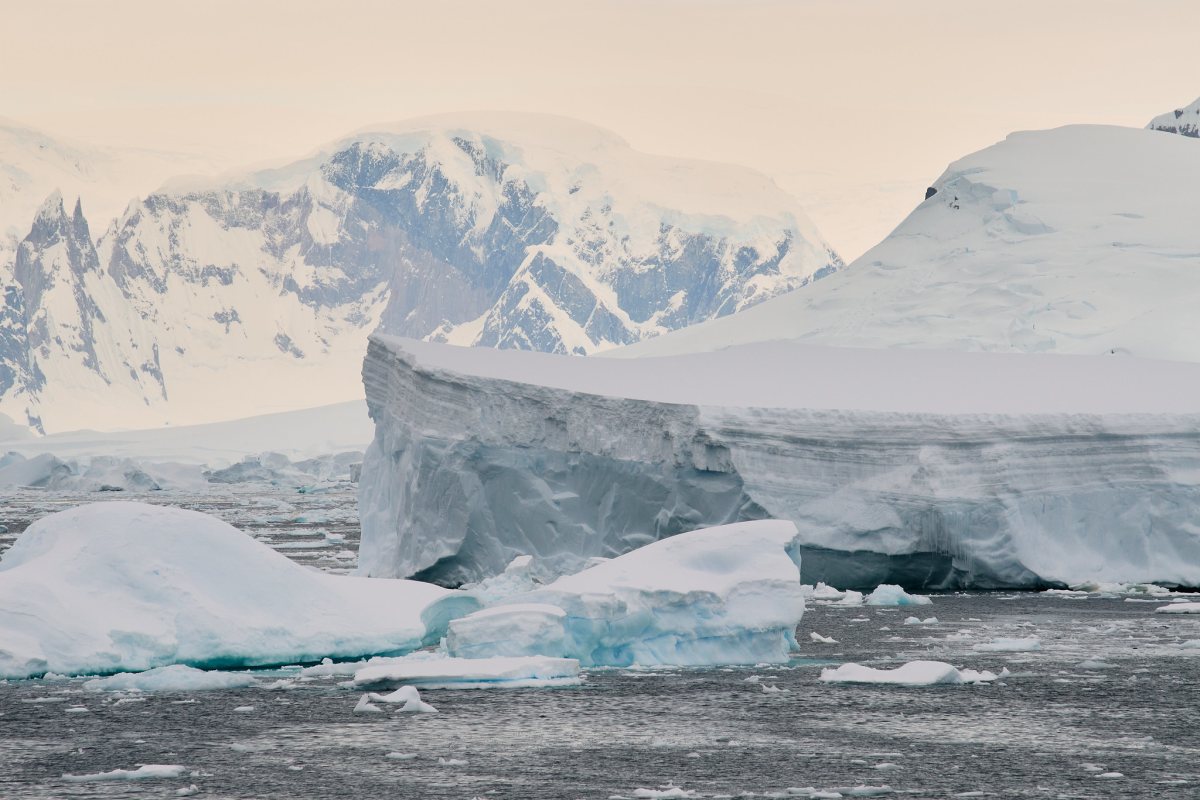 Antarctische ijskappen dunner dan gedacht