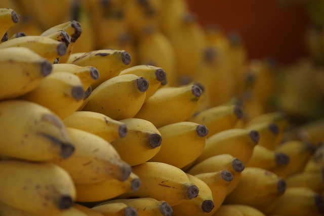 FAO luidt noodklok over dodelijke bananenziekte