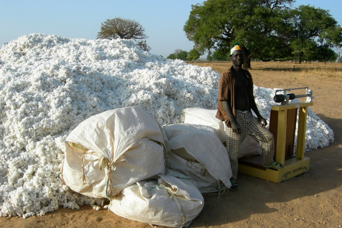 Hoe macht het “succesverhaal” van Monsanto in Burkina Faso creëerde