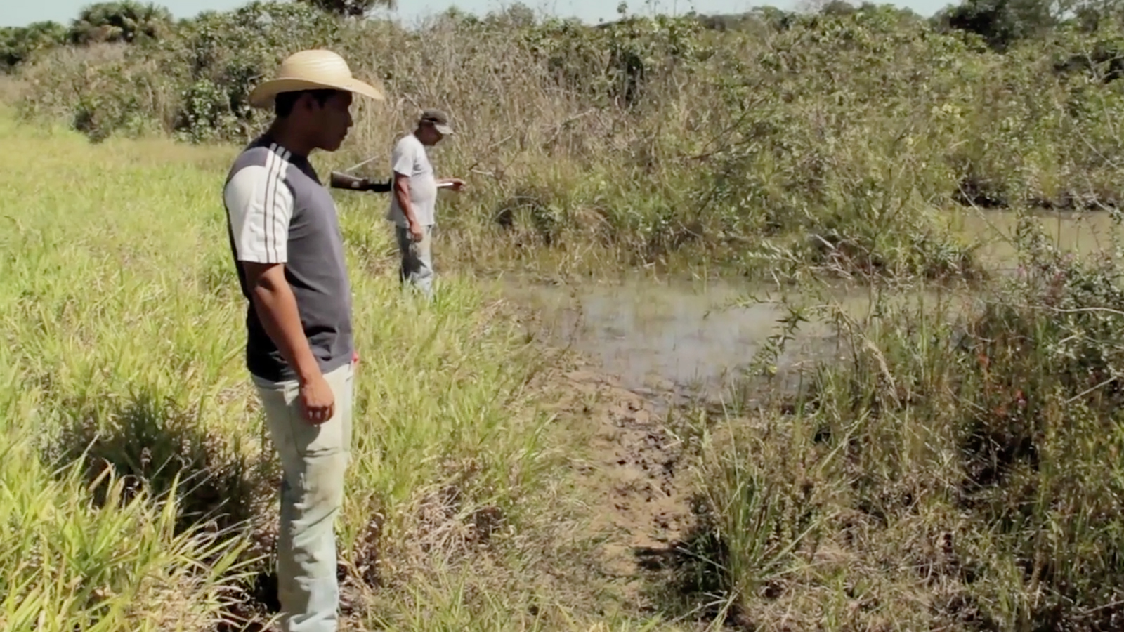 De rivieren die Xingu binnenstromen vergiftigen inheemse volkeren