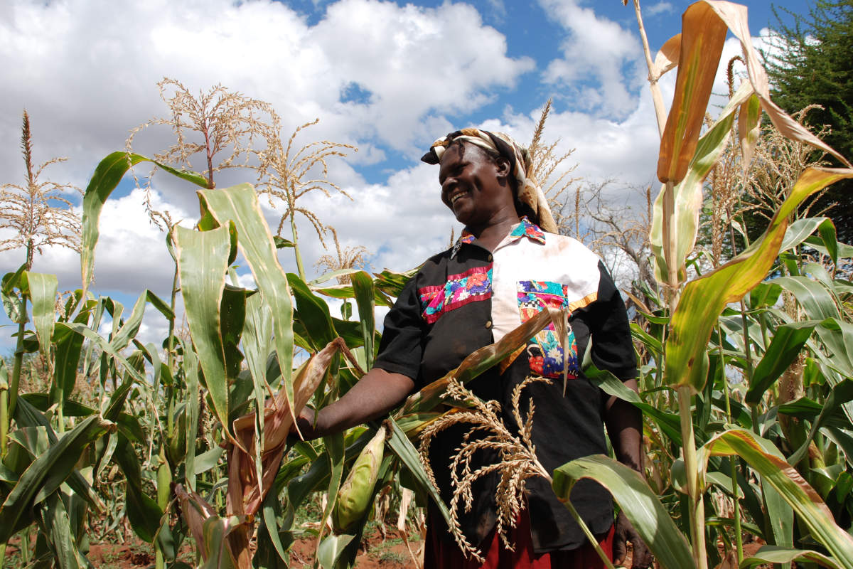 ‘Waarom droogteresistente maïs als je een waterleiding kunt aanleggen?’