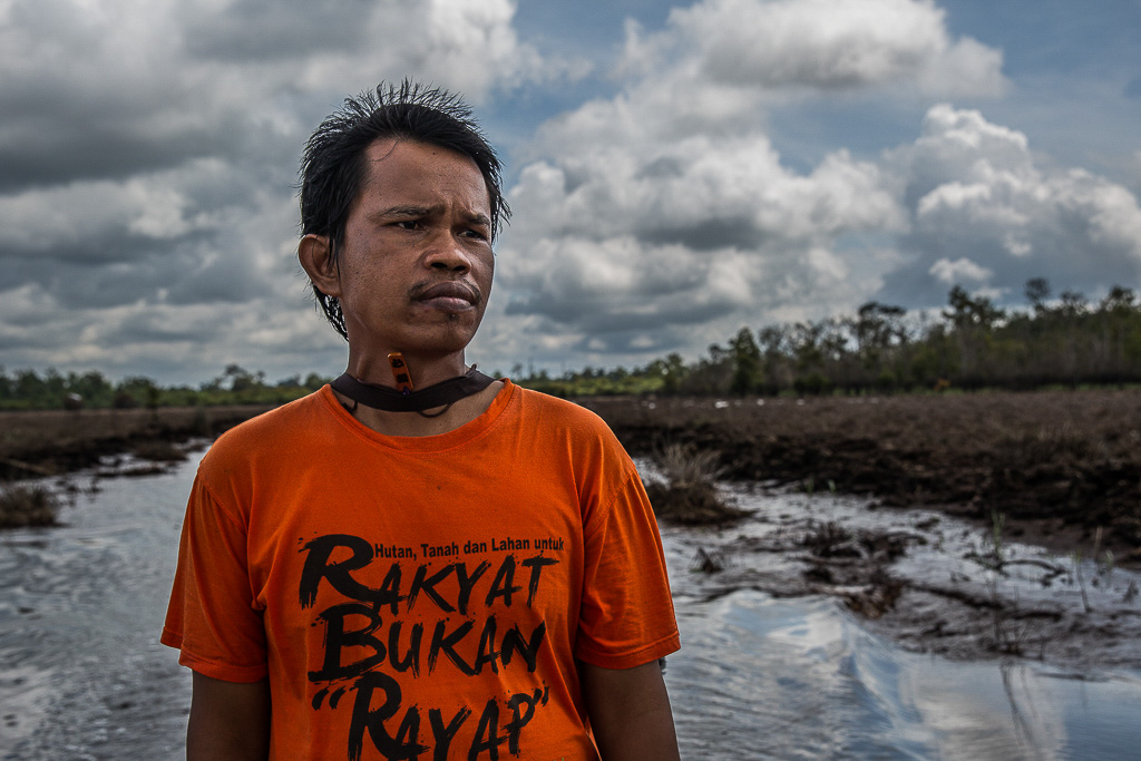 De onstilbare honger van de Indonesische palmolie-industrie