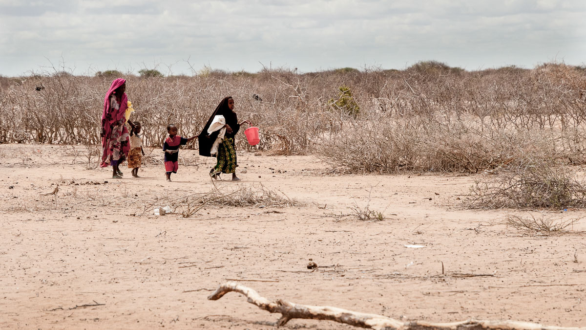 “Indiase Niño” zit mee achter droogte in Oost-Afrika