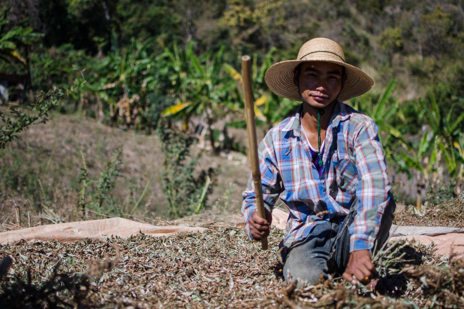 Reinventing microcredit in Myanmar